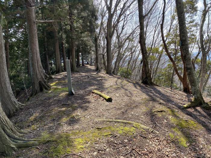 丹波市青垣町山垣/烏帽子山