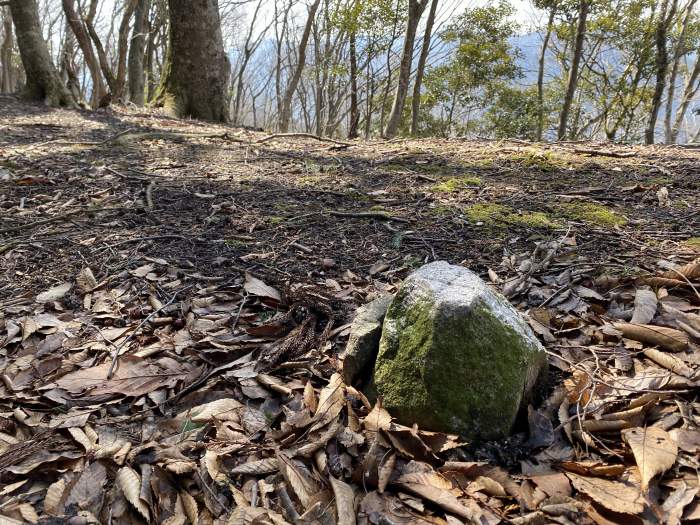 丹波市青垣町山垣/烏帽子山