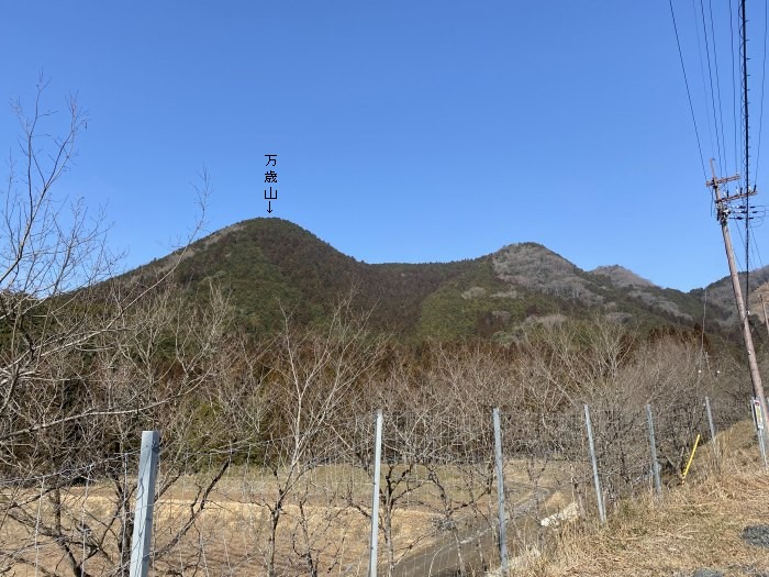 丹波市青垣町山垣/万歳山