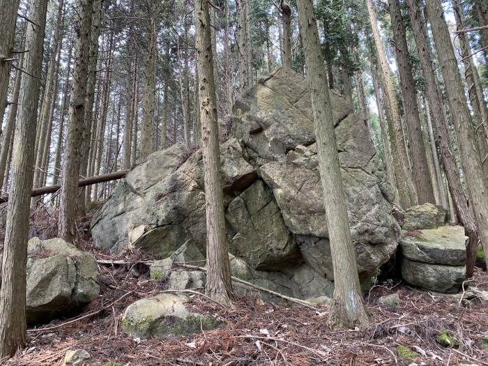 豊能郡能勢町長谷/竜王山