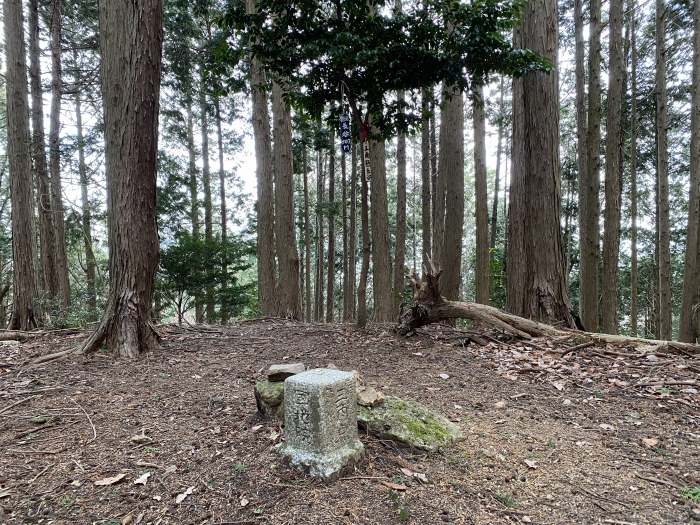 豊能郡能勢町長谷/竜王山