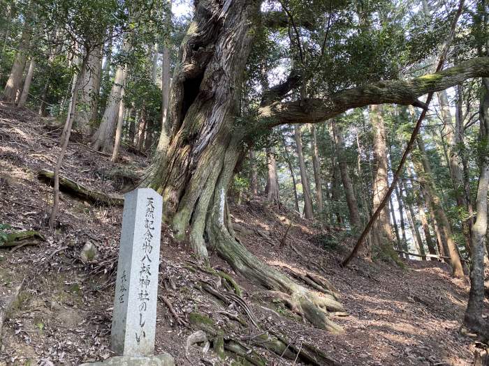 豊能郡能勢町長谷/八坂神社