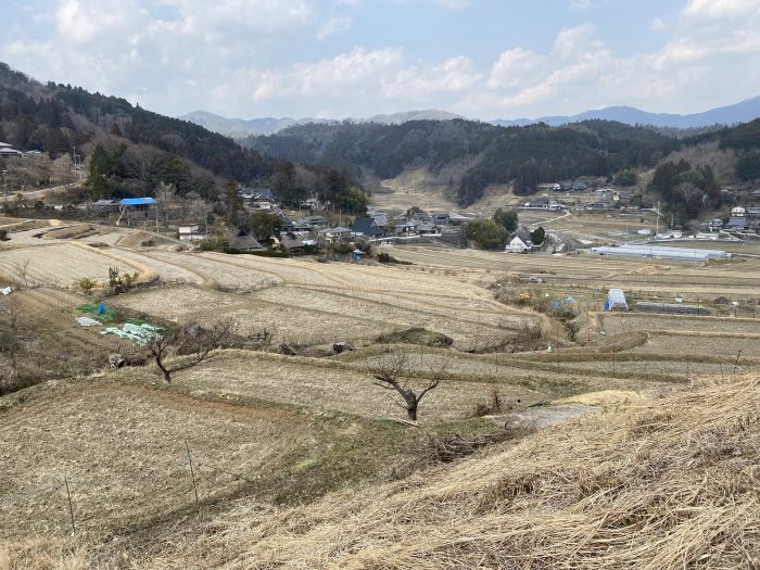 豊能郡能勢町長谷/長谷の棚田