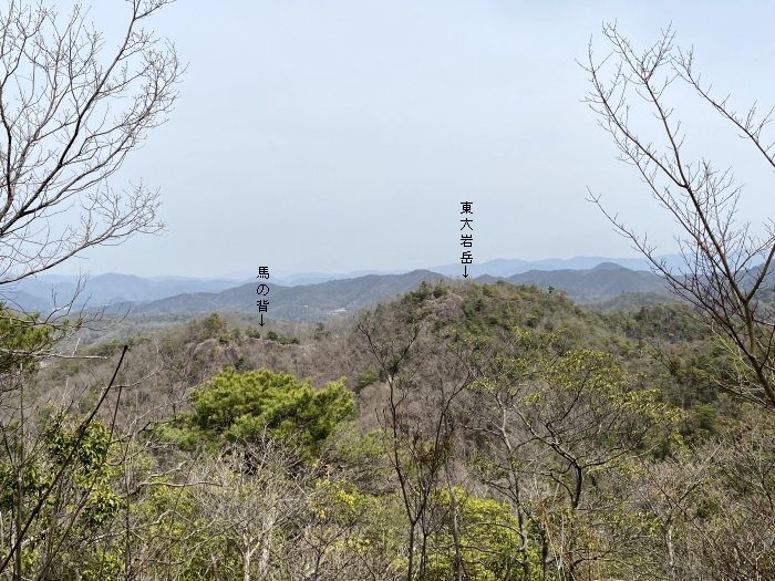 宝塚市波豆/東大岩岳