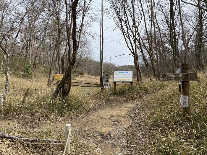 宝塚市波豆/丸山湿原