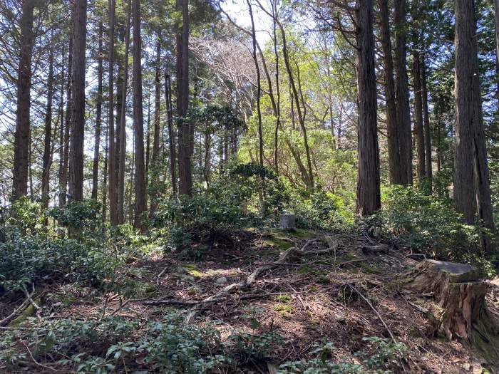 丹波市氷上町三方/鳴尾山