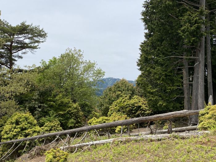 丹波市青垣町稲土/大箕山