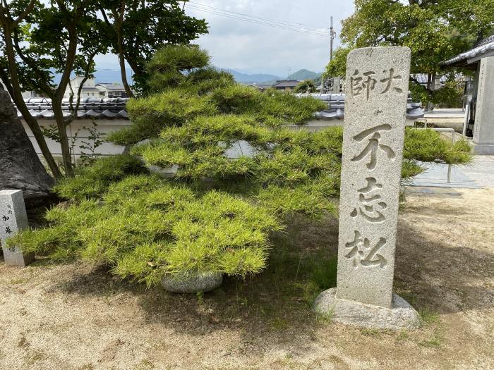 今治市小泉/金輪山泰山寺