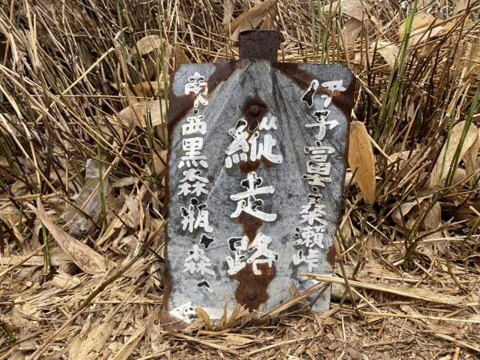 吾川郡いの町中ノ川/東黒森