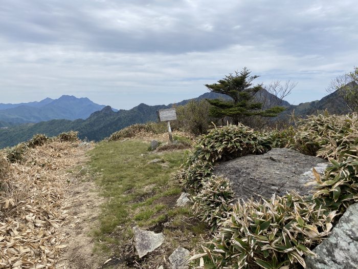 吾川郡いの町寺川/自念子ノ頭