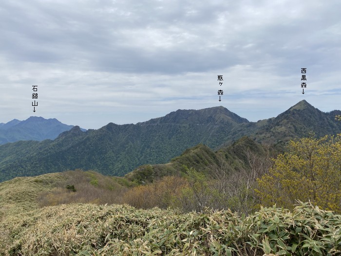 吾川郡いの町寺川/自念子ノ頭