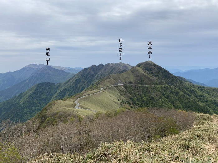 吾川郡いの町寺川/自念子ノ頭