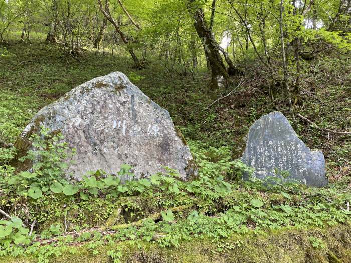 吾川郡いの町寺川/瓶ヶ森林道・UFOライン