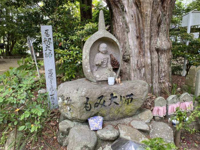 松山市浄瑠璃町/医王山浄瑠璃寺