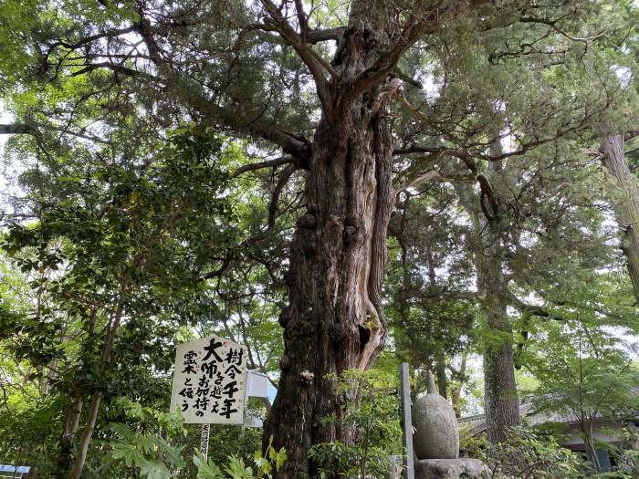 松山市浄瑠璃町/医王山浄瑠璃寺