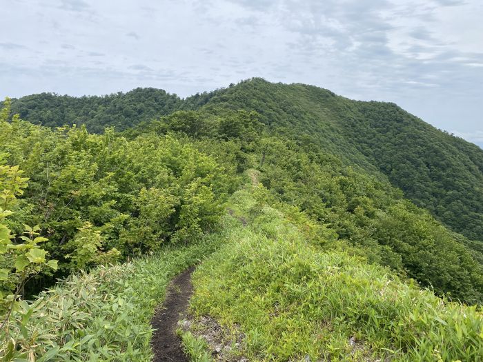 真庭市蒜山中福田/上蒜山