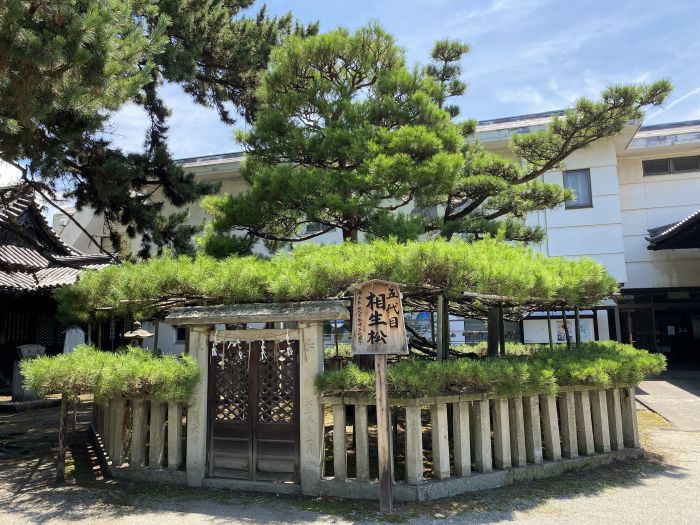 高砂市高砂町東宮町/高砂神社