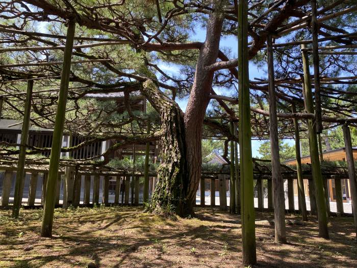 高砂市高砂町東宮町/高砂神社