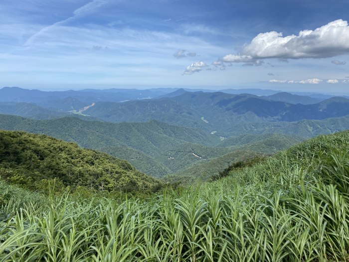 南条郡南越前町瀬戸/高倉峠