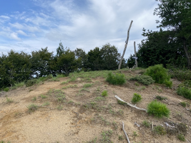 豊岡市出石町奥小野/法沢山