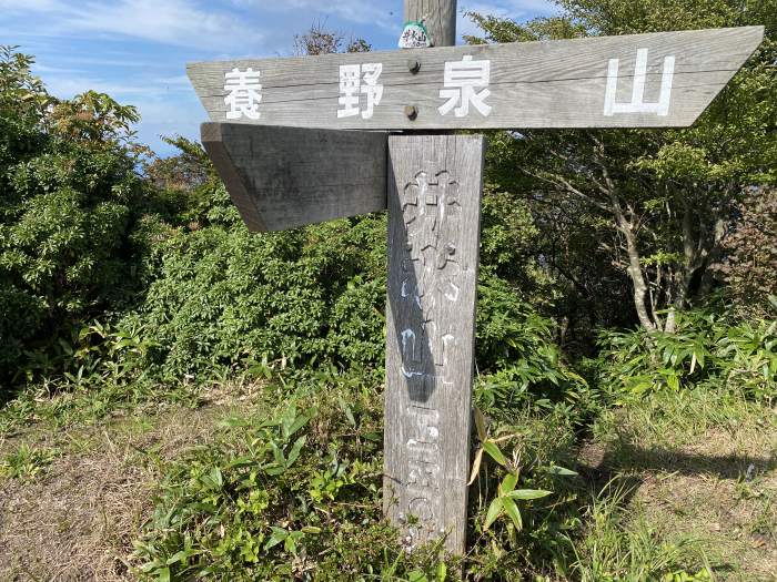 苫田郡鏡野町大町/井水山