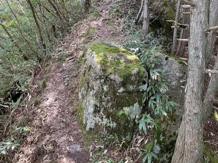 苫田郡鏡野町大町/井水山