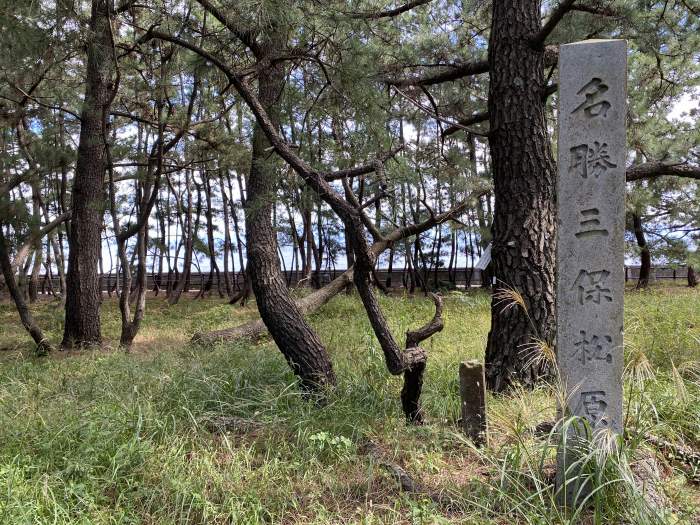 静岡市清水区三保/三保松原