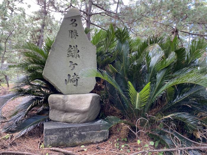 静岡市清水区三保/三保松原