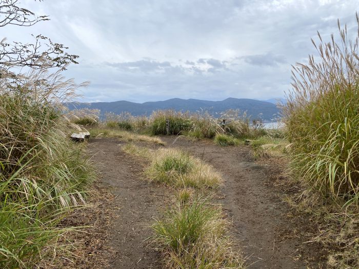 南都留郡忍野村内野/平尾山