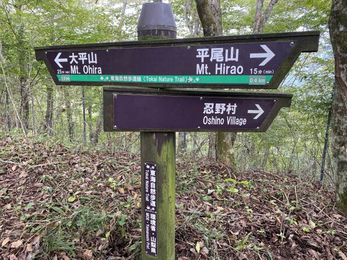 南都留郡忍野村内野/平尾山