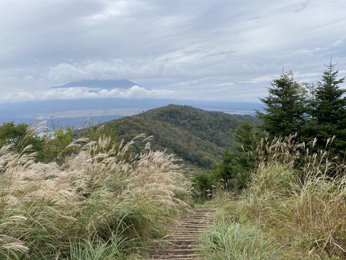 南都留郡忍野村内野/大平山