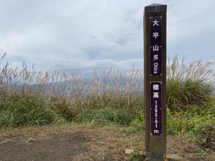 南都留郡忍野村内野/大平山