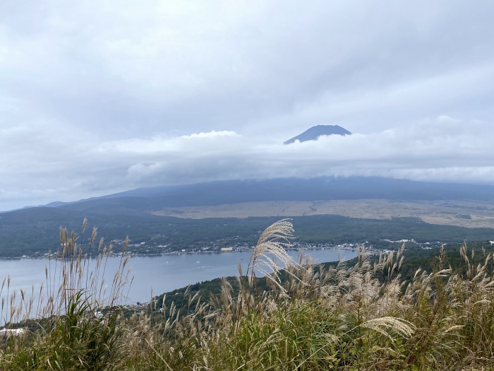 南都留郡忍野村内野/大平山