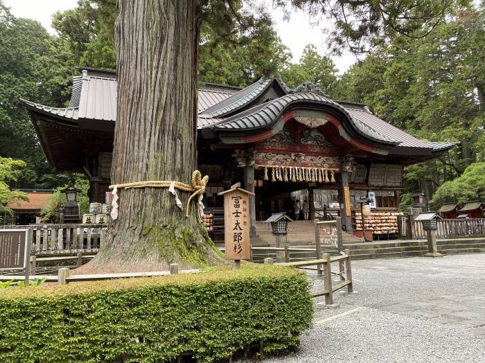 富士吉田市上吉田/北口本宮冨士浅間神社