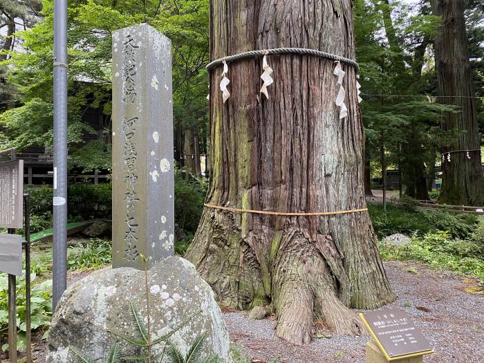 南都留郡富士河口湖町河口/河口浅間神社