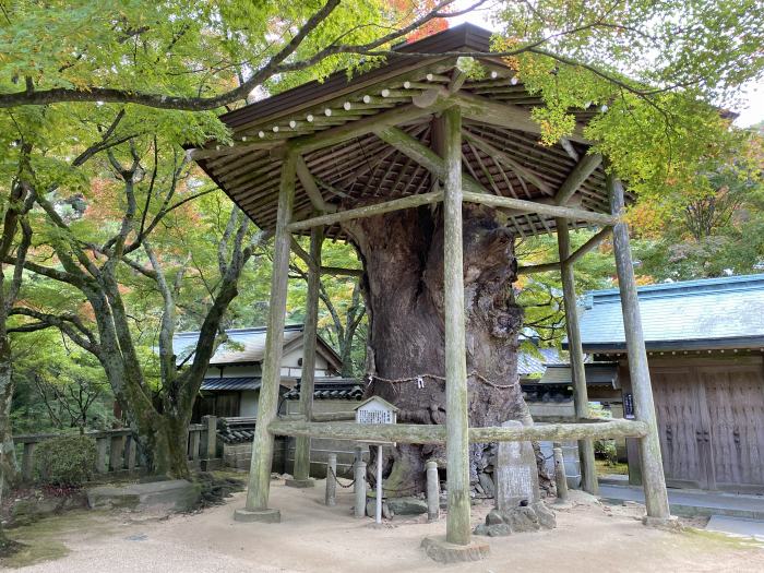 高松市中山町/第82番・青峰山根香寺