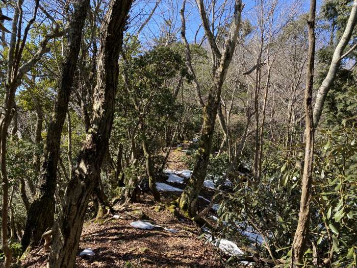 丹波市氷上町清住/カヤマチ山