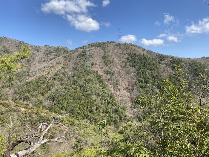 豊能郡能勢町山辺/行者山