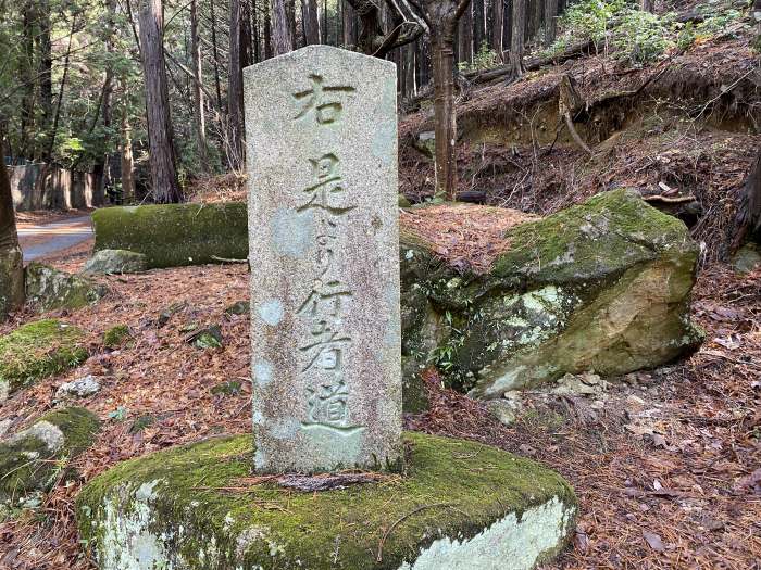 豊能郡能勢町山辺/行者山