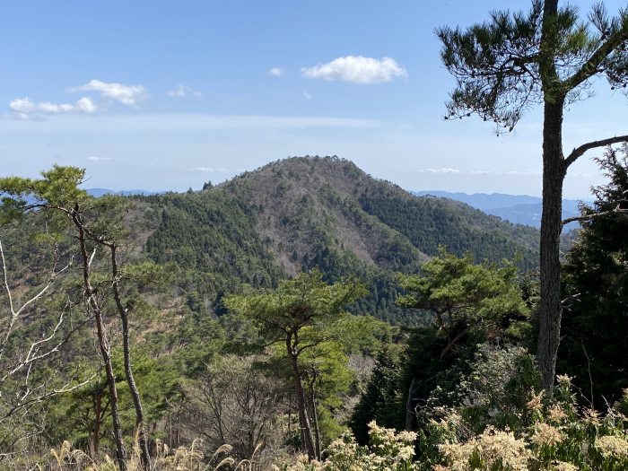 豊能郡能勢町宿野/剣尾山