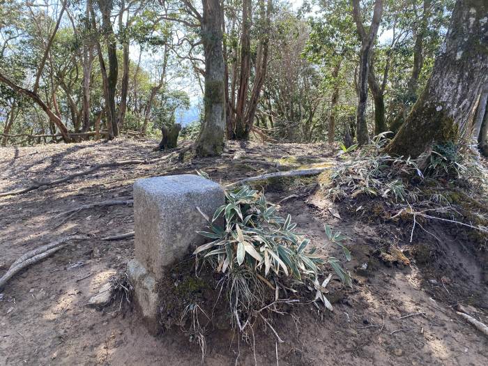 豊能郡能勢町山辺/横尾山