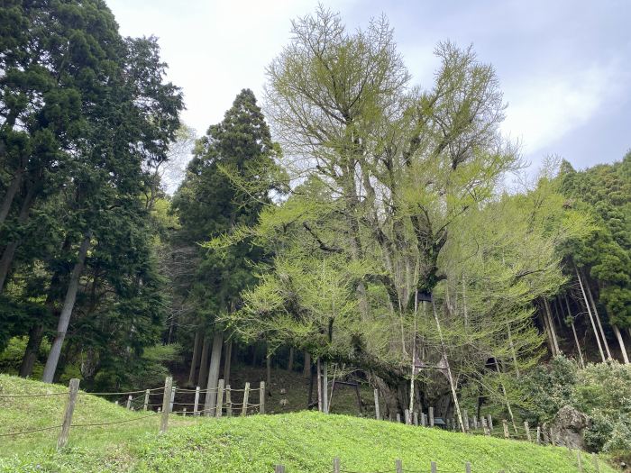 勝田郡奈義町馬桑/菩提寺