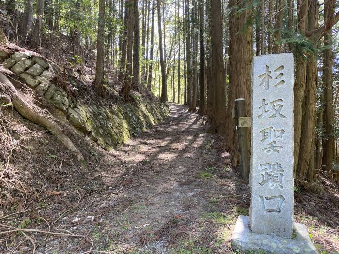 美作市田原/杉坂峠