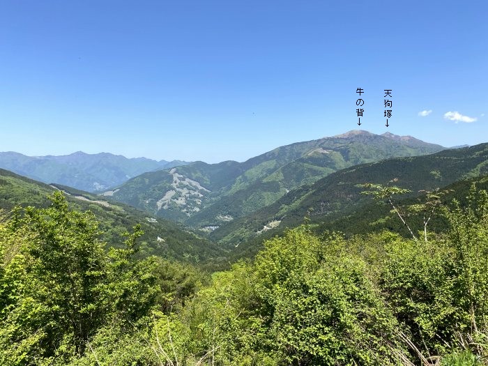 三好市東祖谷樫尾/京柱峠