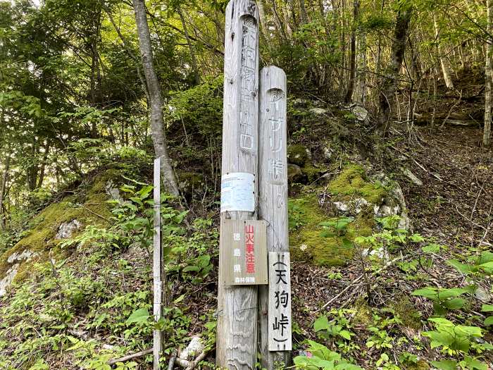 三好市東祖谷古味/天狗塚