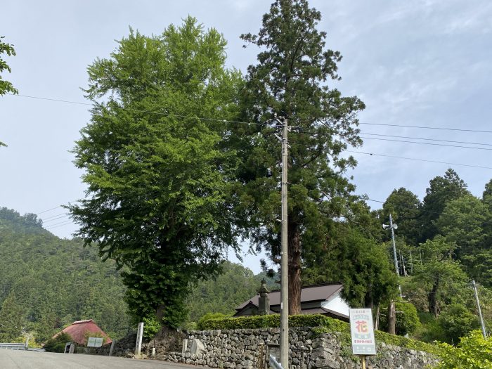 名西郡神山町下分字地中/杖杉庵