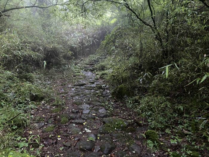 足柄下郡箱根町箱根/箱根旧街道