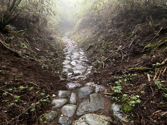 足柄下郡箱根町箱根/箱根旧街道