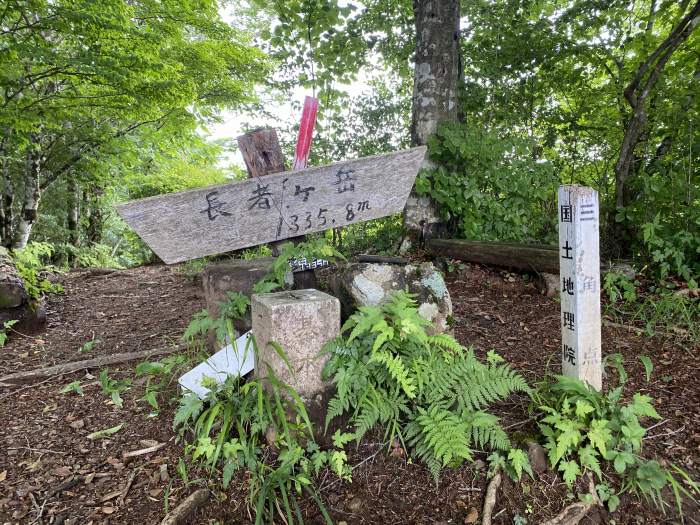 富士宮市佐折/長者ヶ岳