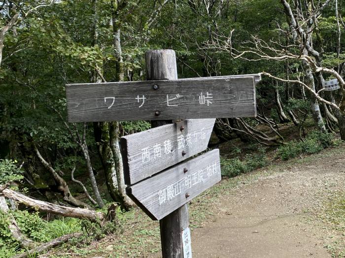 大津市北比良/御殿山